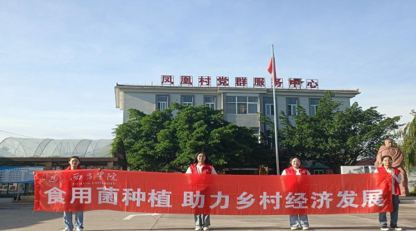 图片1 图片1