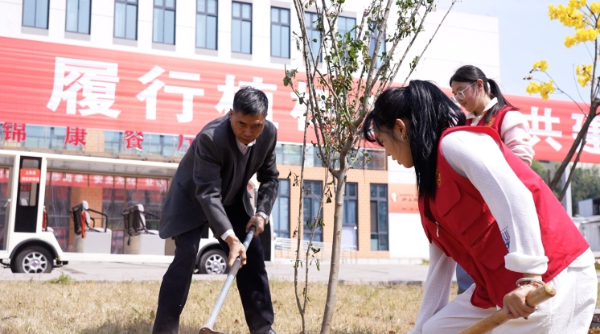 植树3 植树3