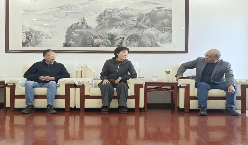 图片5