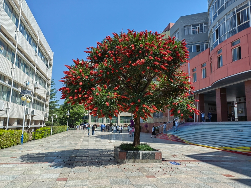 钱院 钱院