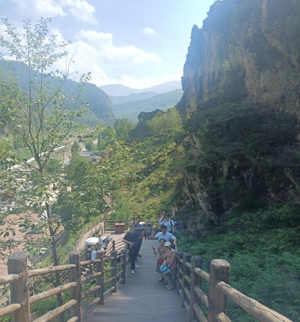 图片7 图片7