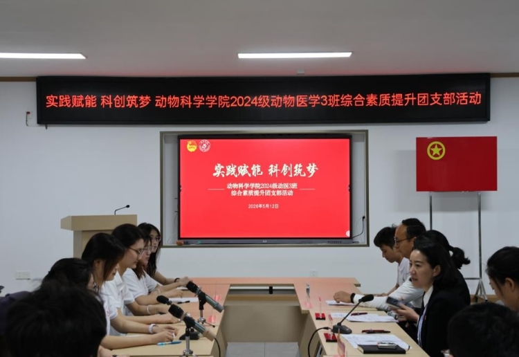 图片9 图片9