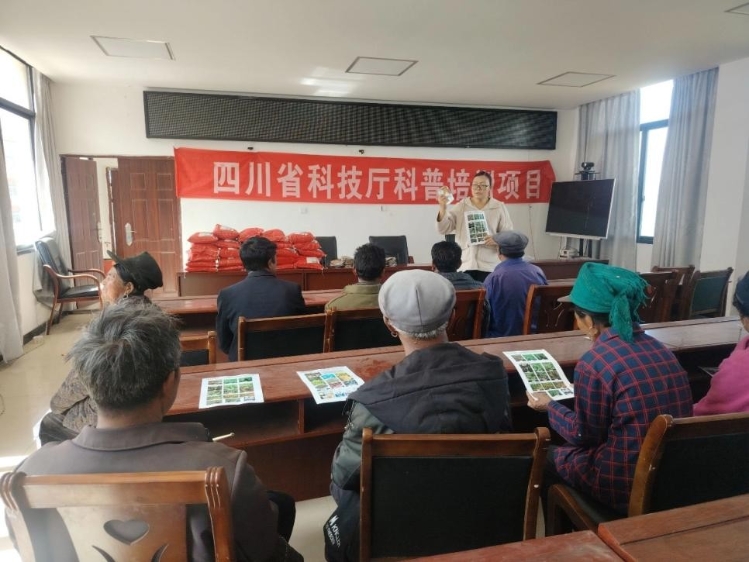 图片1 图片1